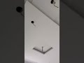 Pop fall ceiling 👷💸 #bollywood #song #music #funny #fishkeepinghobby #fishtank #comedy