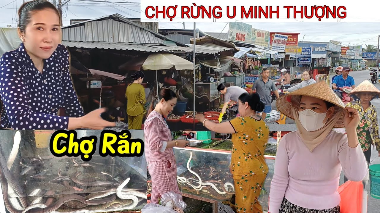 Chợ Rắn bán đầy đường Đặc Sản Chợ U Minh Thượng Kiên Giang 
