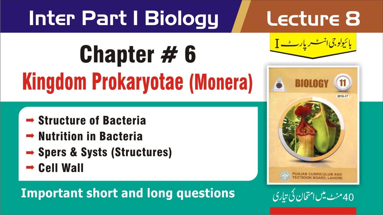 11th Class Biology Chapter 6 |Kingdom Prokaryotes| |Kingdom Monera|  important Short & long questions