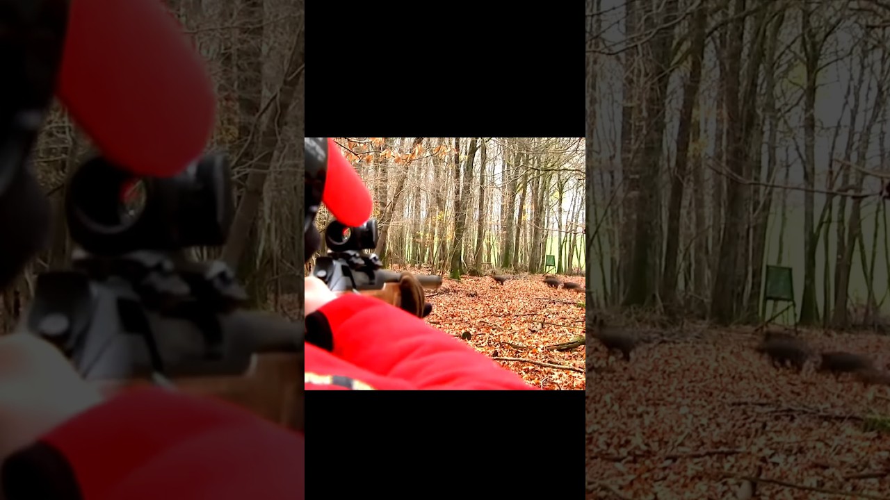 3 диких против одного гривистого — отличная охота