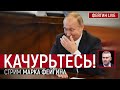 Качурьтесь! Стрим Марка Фейгина