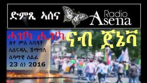 Voice of Assenna: Discussion with Geneva Demo Organising Cotte