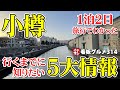 【北海道グルメ】小樽１泊２日の旅♪行く前に知りたい５大情報 イチオシ看板グルメ３１４（飲食店応援９８２本目動画）