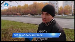 Все за лопаты и грабли!
