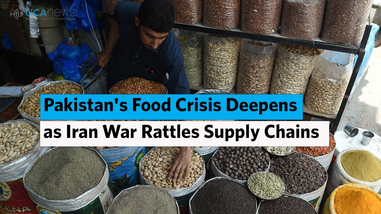 Casiny Online Casino Interface