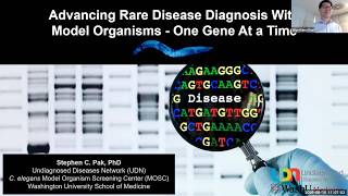 RareBoost Seminar by Prof. Stephen Pak Advancing Rare Disease Diagnosis Using Model Organisms”