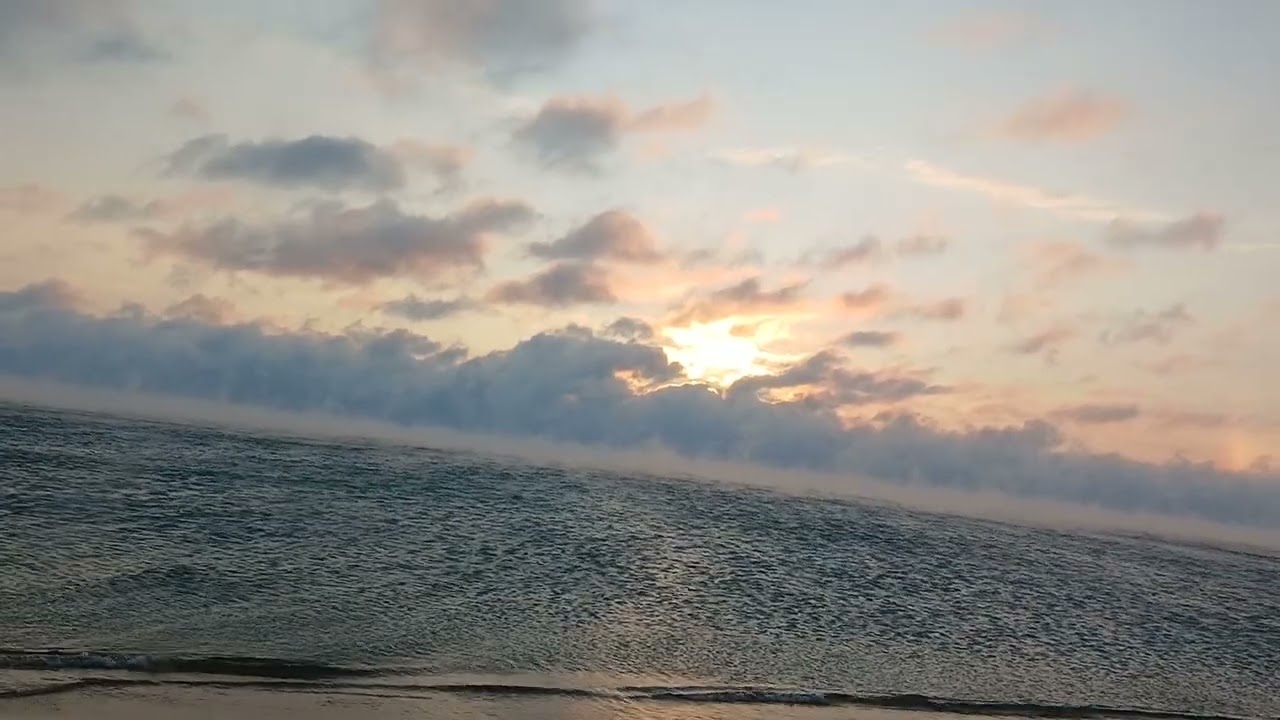 НовостиХреновости-Экстремистам разрешили торговать овощами.Запрет на вислоухих кошек.