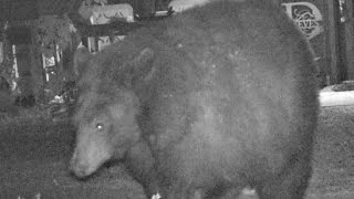 ASMR M4M (cuddling teddy as he plays games) 