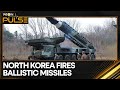 North Korea launches baliistic missile after US-South Korea drills | WION Pulse