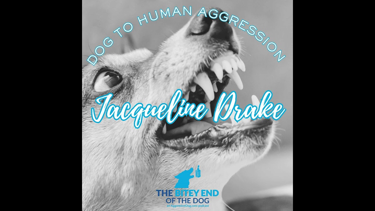 From Bites to Breakthroughs: Human-Directed Aggression with Jacqueline Drake