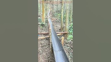 Forest Innovation: How This Pipeline System Revolutionizes Logging Transport