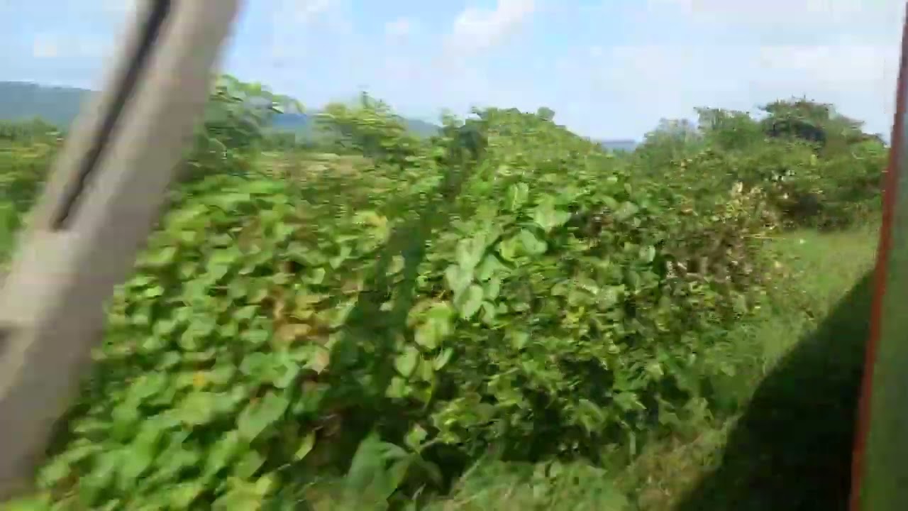 Train Journey Modgon to Ratnagiri 🚄#indian