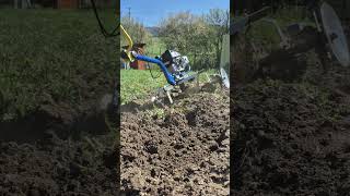 AGZAT | Honda | Rotavátor -  Kyprenie pôdy / Sadenie zemiakov Test #farming