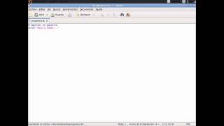 Lenguaje de Progrmación Ruby 1x1