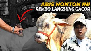 SETELAH DIBERI VIDEO RAHASIA, L1BiD0 REMBO LANGSUNG NAIK!