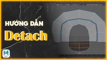 Tự Học 3D Online - Detach - Hướng dẫn Maya cơ bản #maya