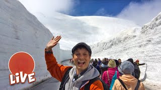 Massive Snow Wall Walk: TateyamaKurobe Alpine Route ☆ LIVE #14