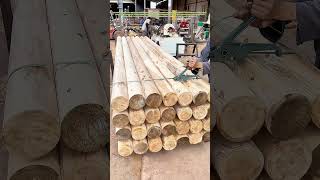 Strapped And Stacked How Specialized Banding Secures Round Timber For Heavy Transport
