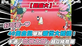 【40隻倉鼠舉辦曠世大婚禮！卡通「哈姆太郎」超Q結局曝】 @RTisme