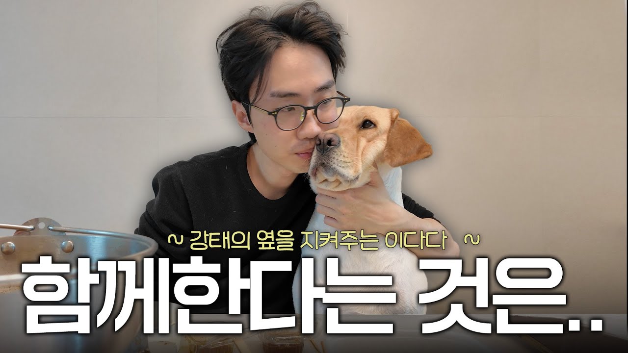 반려동물과 함께 사는 현실과 이별