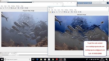 Underwater Image Restoration Based on Image Blurriness and Light Absorption