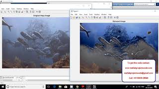 Underwater Image Restoration Based on Image Blurriness and Light Absorption