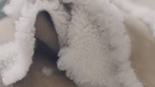 Lider Deri Production