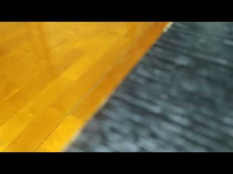 三首我最喜愛青春本我歌曲