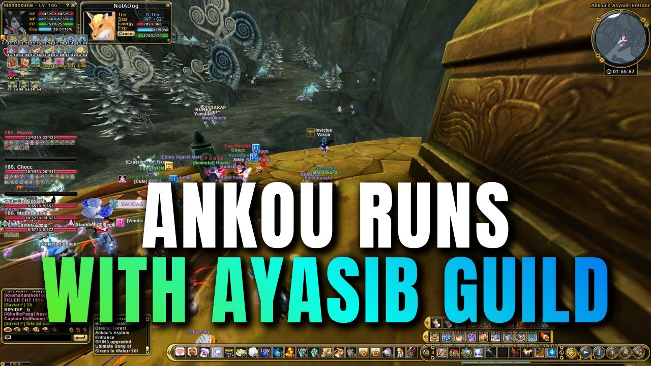 Flyff Universe Ankou Runs With AYASIB Guild