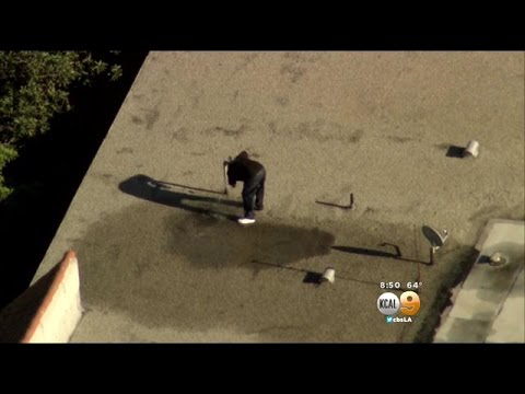 Pursuit Suspect On Culver City Rooftop Surrenders After High-Speed ...