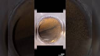 Saudi Arabia,Alkobar