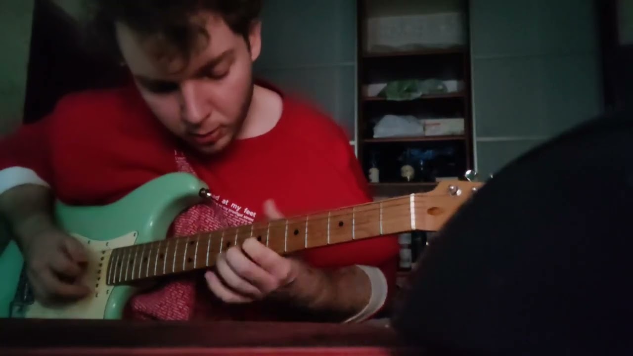 RHCP   I Could Have Lied guitar solo