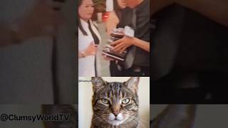They all grabbed the phone 💀 #funny #fails #cats #animals #shorts #viral #relatable