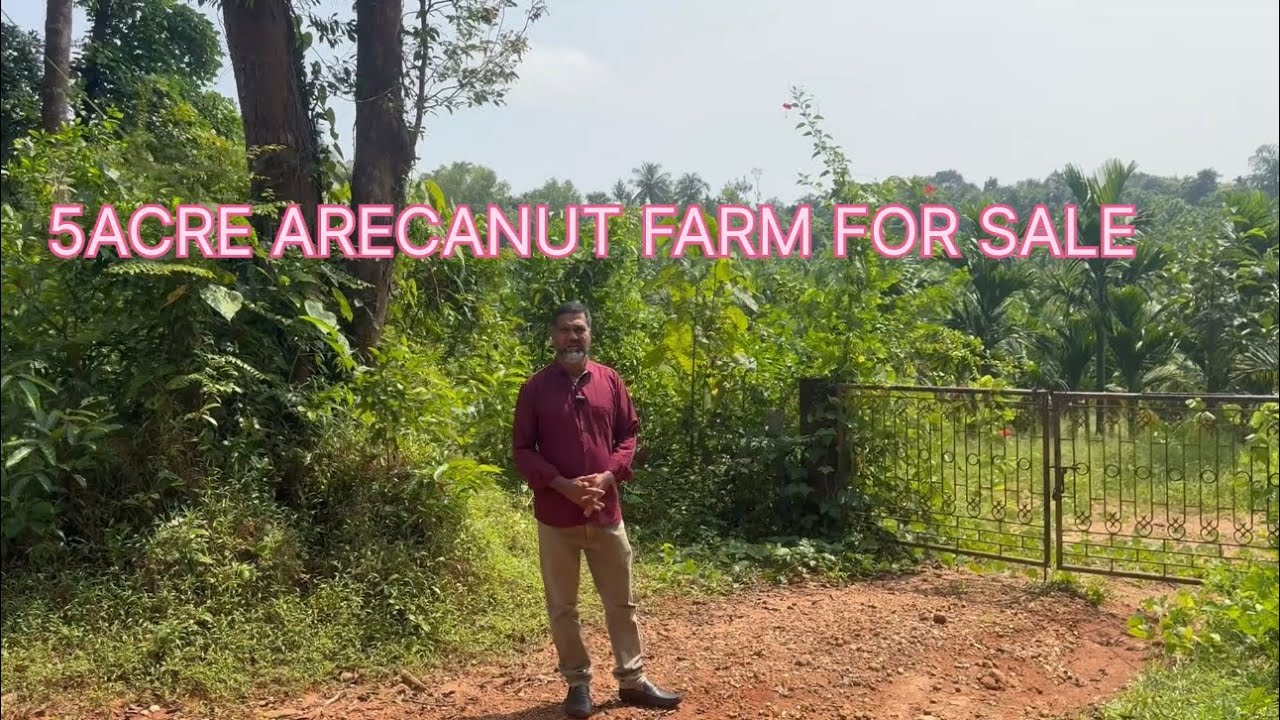ARECANUT FARM FOR SALE IN MOODBIDRI KARNATAKA |ARECANUT FARM FOR SALE IN KARNATAKA |FARM FOR SALE 