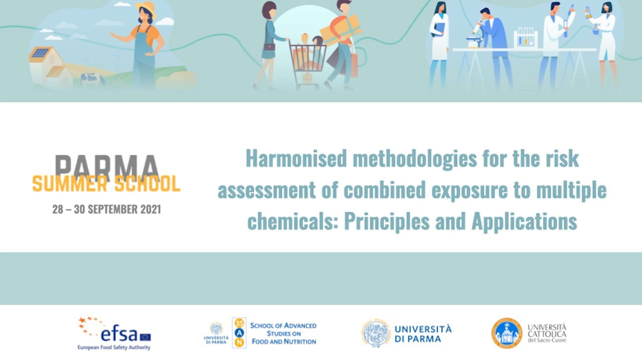 Parma Risk Management PARMA SUMMER SCHOOL 2021:HARMONISED METHODOLOGIES FOR THE RISK ...