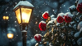 Winter Rose & Candlelight | Dark Academia Classical Piano for Study, Reading & Melancholic Ambience screenshot 1