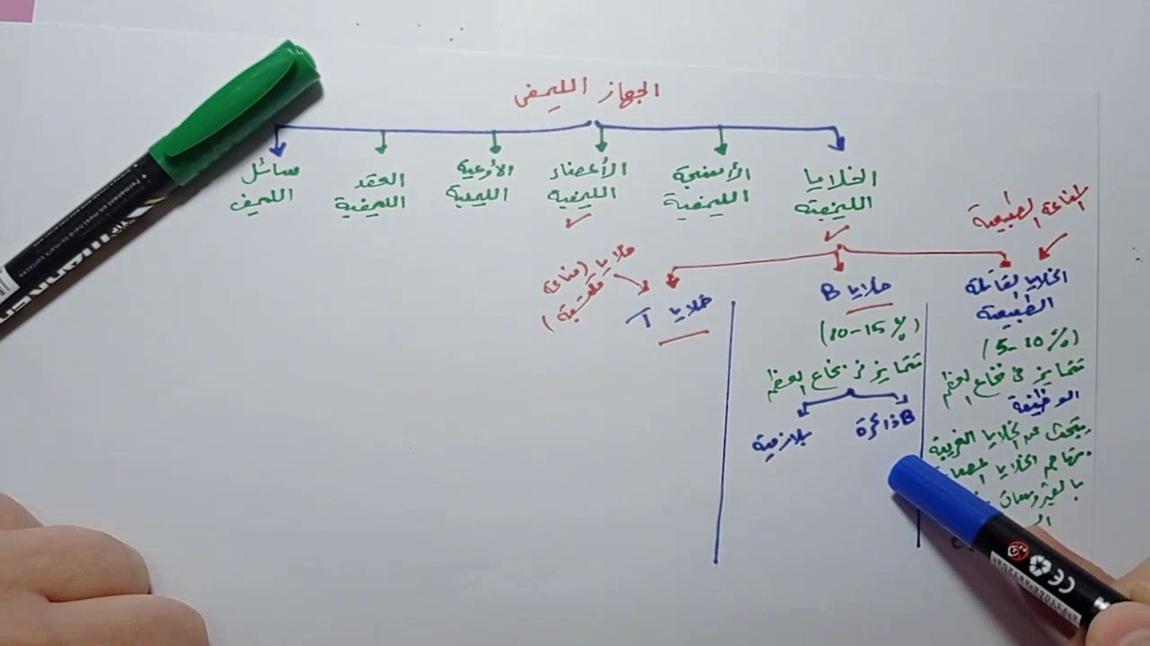 الجهاز المناعي (الجهاز الليمفي +حل أسئلة اختر)