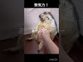 無気力!