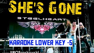 Steelheart She's Gone karaoke Lower Key -5