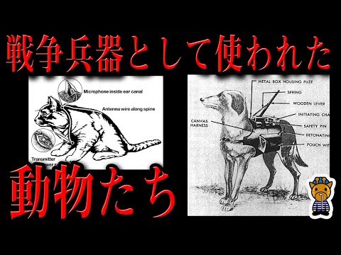 兵器として利用された動物