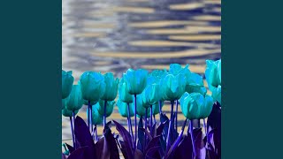 Artistic Bossa Piano Duo - Vibe for Timeless Pleasures