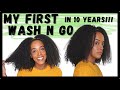 WASH AND GO TUTORIAL: How to do a Wash and Go on Natural Hair | Kia Rene