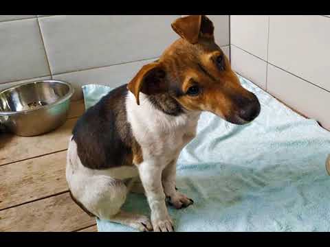 ,,იღბლიანი'' მეტისი ისთ ფოინთიდან