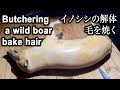 狩猟【イノシシをキレイに解体】-Part１毛を焼く- 生け捕りした猪を解体する動画 -01/2020