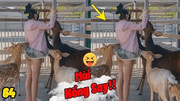 Tổng Hợp Các Video Hài Hước Cực Bựa Nhất Quả Đất - Phần 64 / Hài Thiệt Chứ