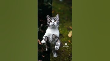 Click Photo Editing 🔥[ 100% WORKING ] How To Edit Photo in 3d lut | 3dlut Se Photo Kaise Banaye