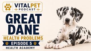 Great Dane Health Problems | GDV, Heart & Wobblers Risks | Dog Health Academy S34E5