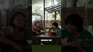 Video thumbnail of "Baby I'm-a-want you by Bread (cover)"