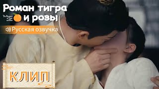 Его Поцелуй Привёл Её В Сознание💞Роман Тигра И Розы【Русская Озвучка】传闻中的陈芊芊【Чжао Лусы,Дин Юйси】