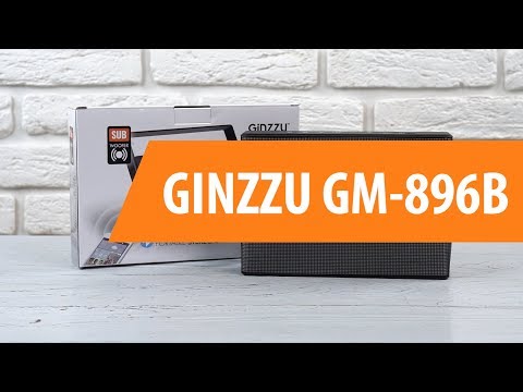 Распаковка портативной колонки GINZZU GM-896B / Unboxing GINZZU GM-896B